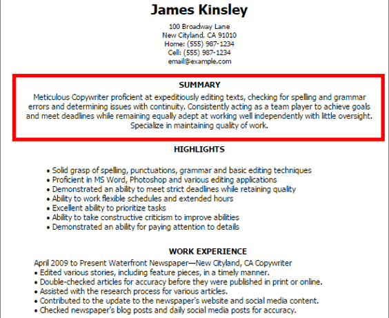 Example of a Resume Summary Statement